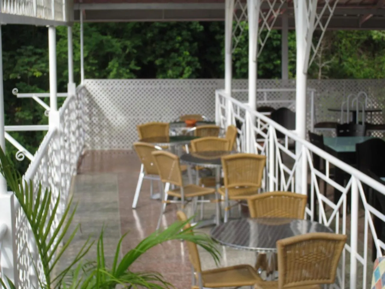 Alicia'S Palace Hotel Port of Spain
